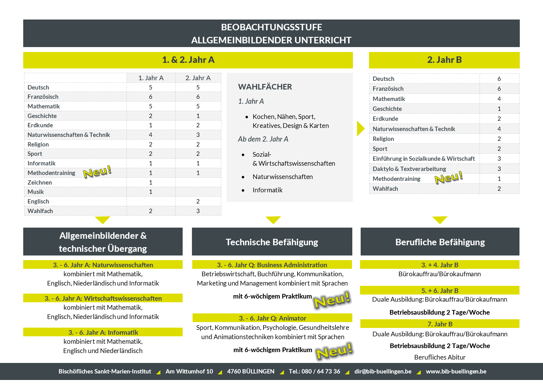 Studienangebot 2024